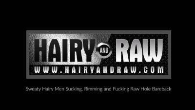 HAIRYANDRAW Burly Hunks Parker Logan And Sebastian Sax Fuck - icpvid.com